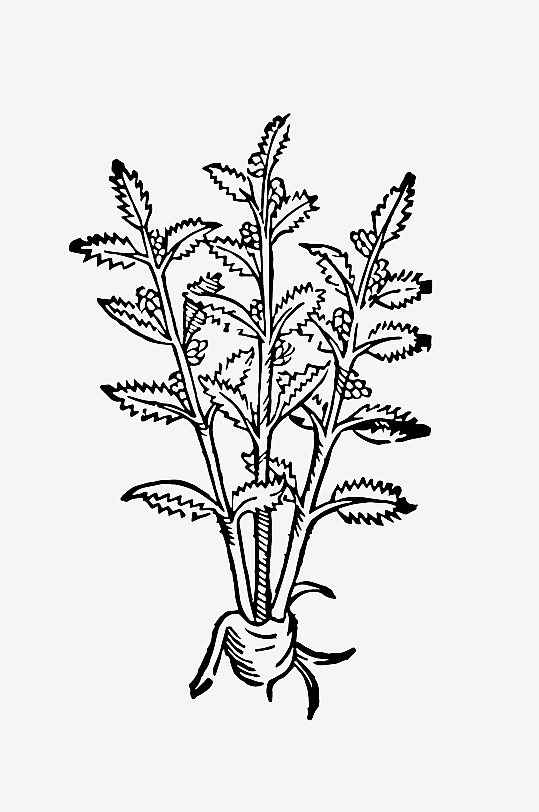 创意矢量植物元素设计-众图网