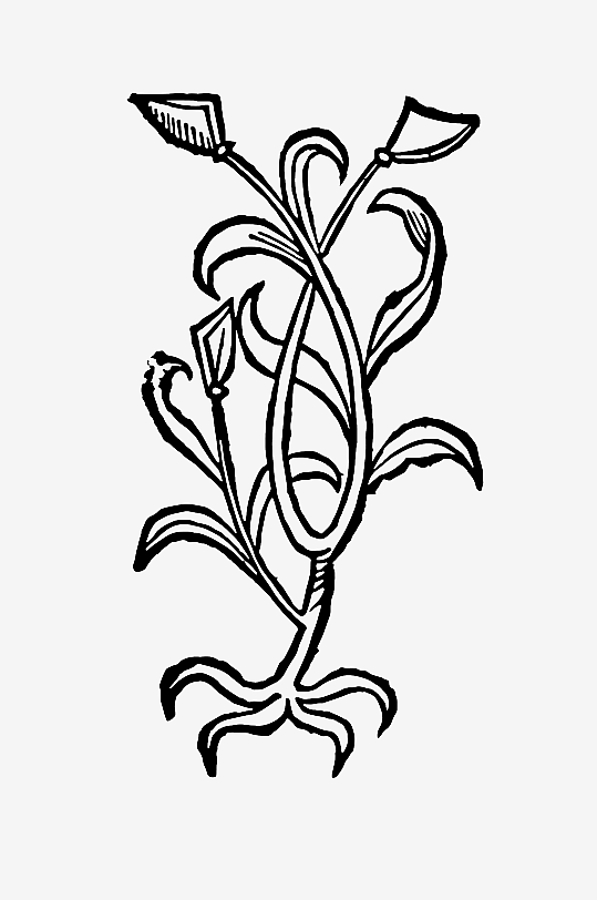 创意矢量植物元素设计-众图网