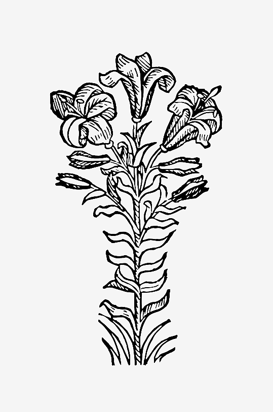 创意矢量植物元素设计-众图网