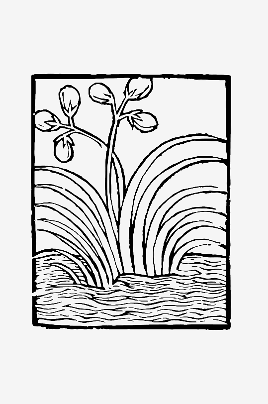 创意矢量植物元素设计-众图网