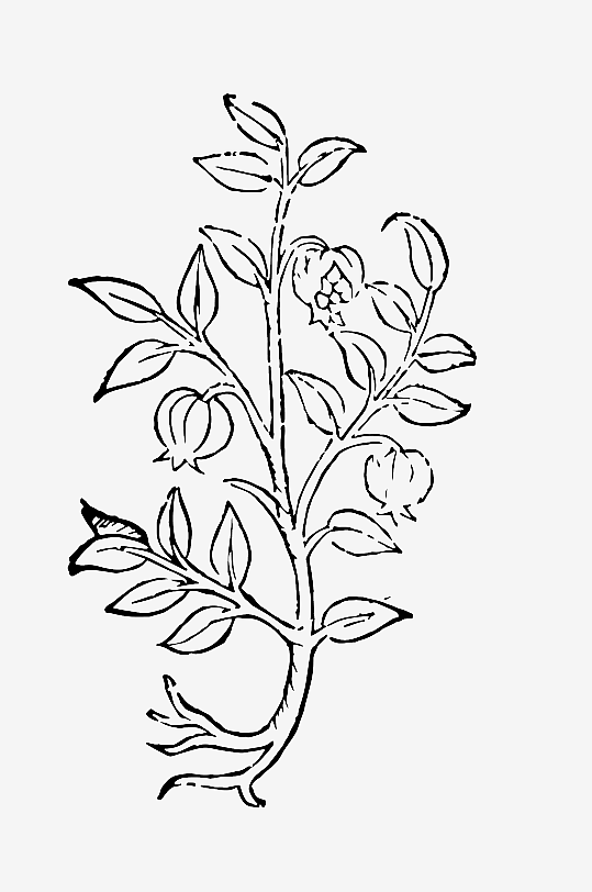 创意矢量植物元素设计-众图网