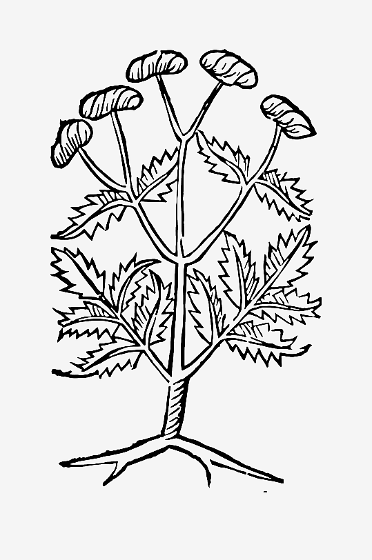 创意矢量植物元素设计-众图网