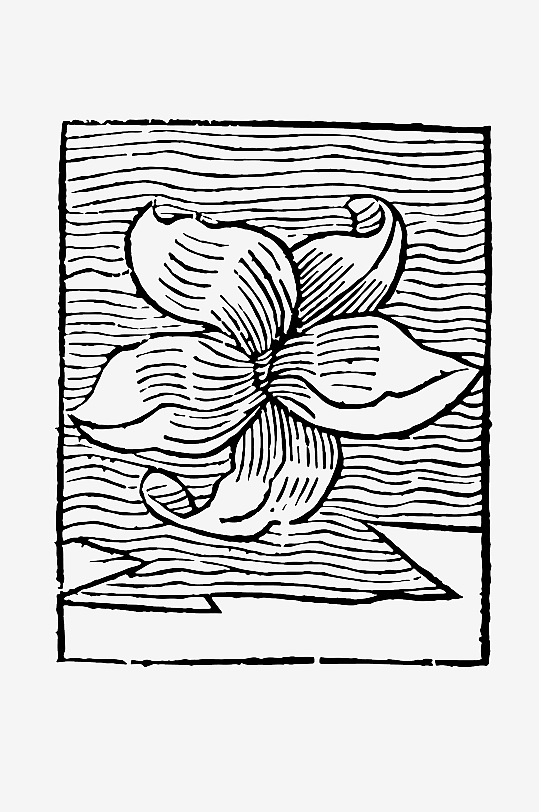 创意矢量植物元素设计-众图网