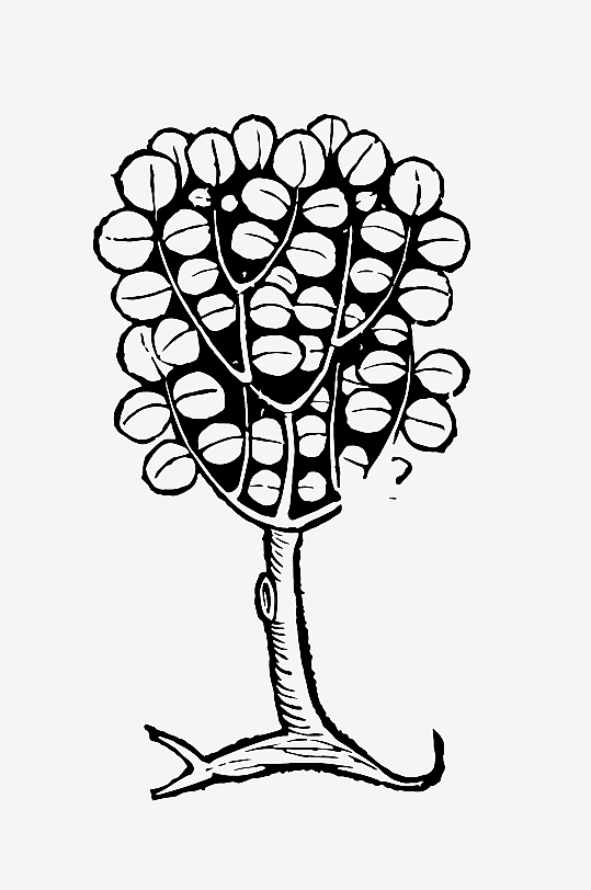 创意矢量植物元素设计-众图网