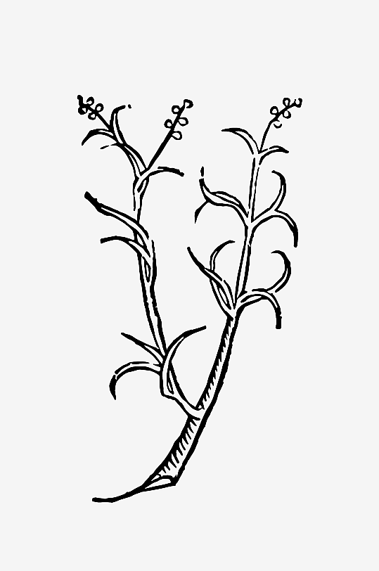 创意矢量植物元素设计-众图网