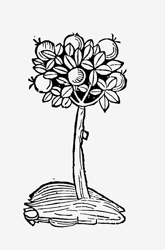 创意矢量植物元素设计-众图网