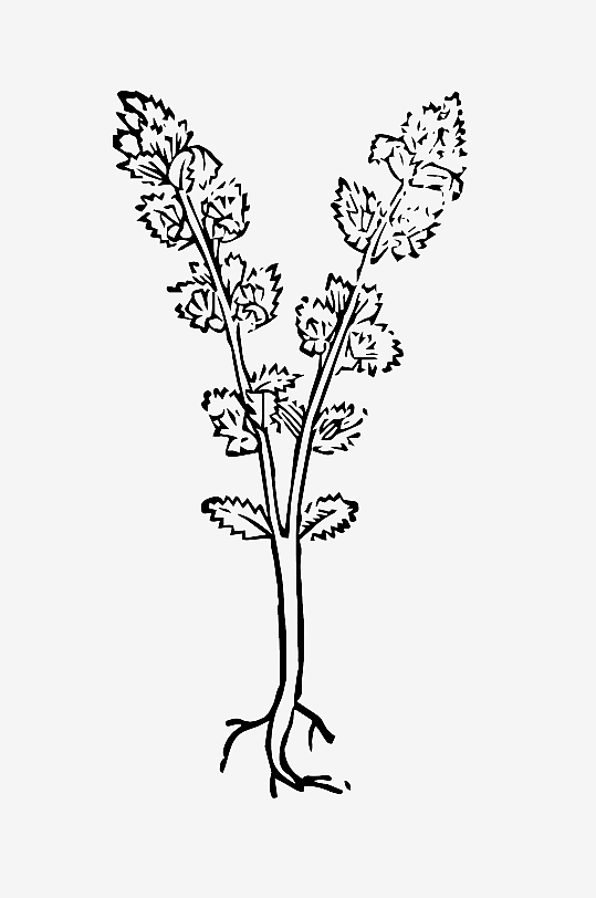 创意矢量植物元素设计-众图网