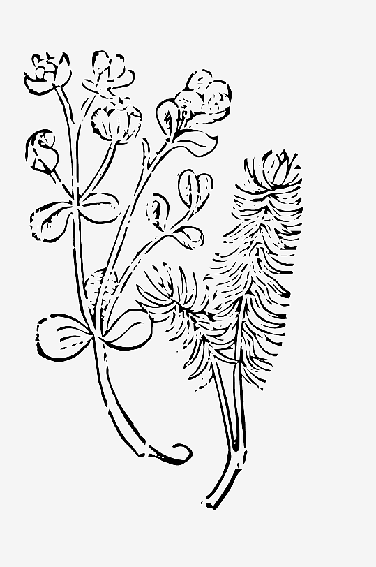 创意矢量植物元素设计-众图网