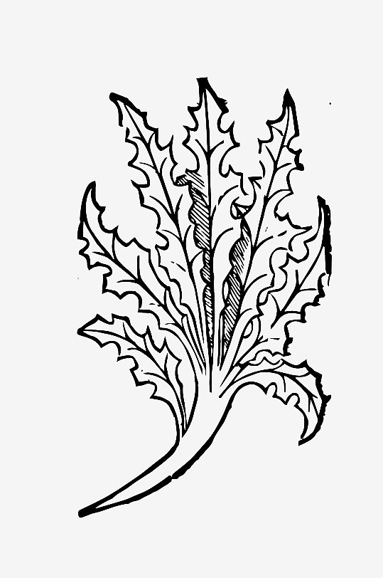 创意矢量植物元素设计-众图网