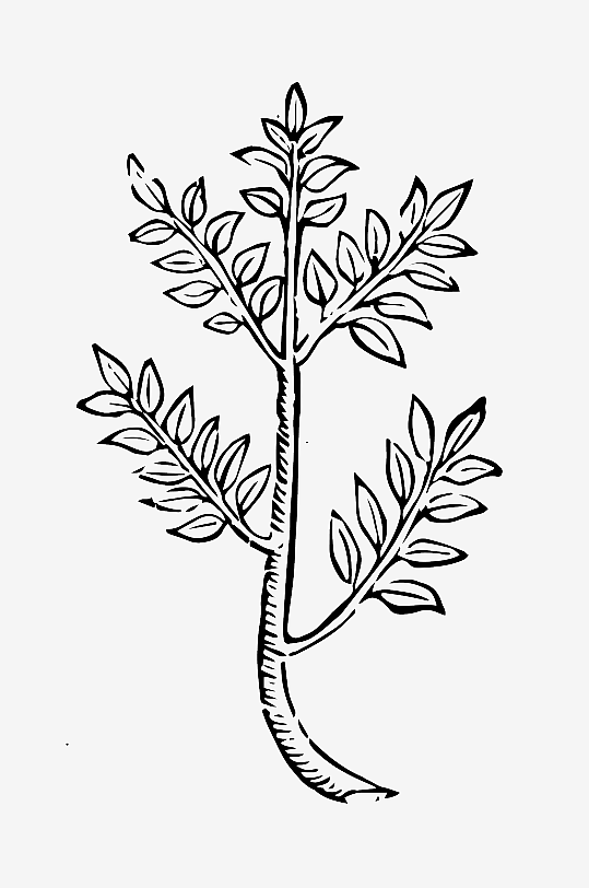 创意矢量植物元素设计-众图网