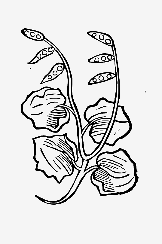 创意矢量植物元素设计-众图网