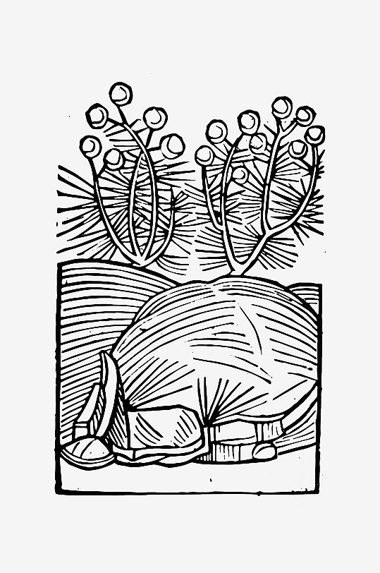 创意矢量植物元素设计-众图网