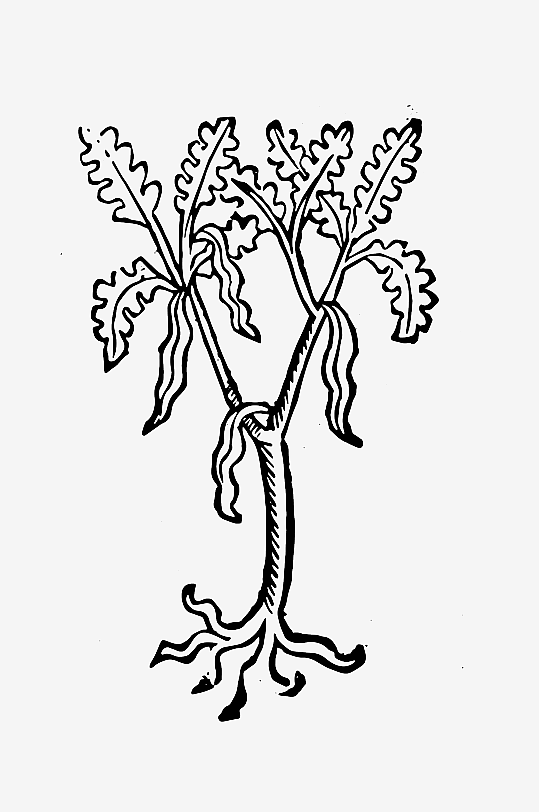 创意矢量植物元素设计-众图网