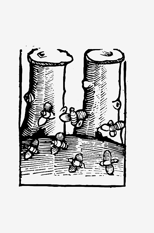 创意矢量植物元素设计-众图网