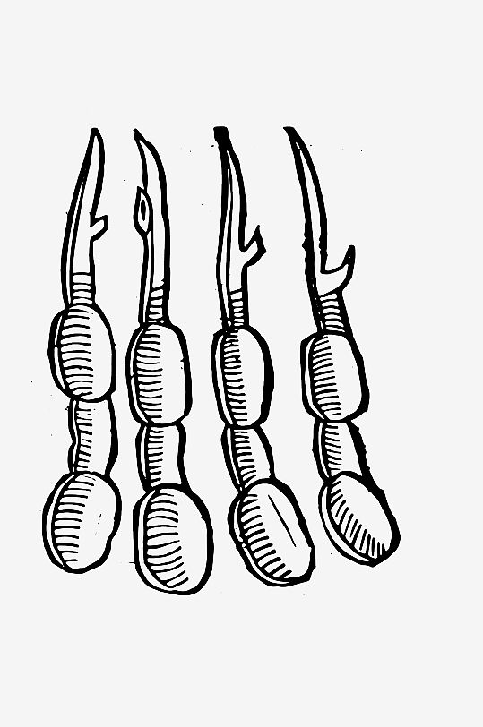 创意矢量植物元素设计-众图网