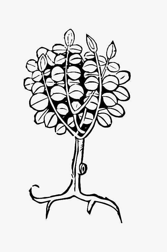 创意矢量植物元素设计-众图网