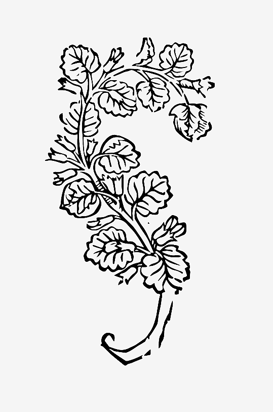 创意矢量植物元素设计-众图网