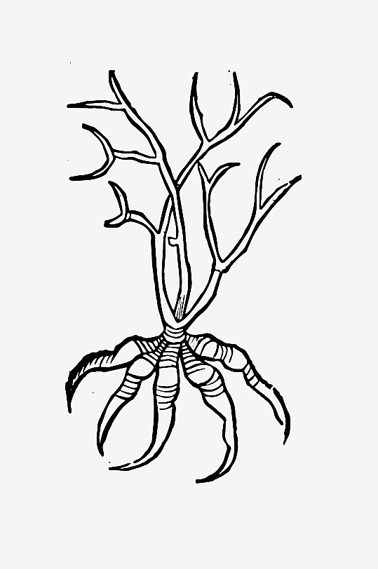 创意矢量植物元素设计-众图网