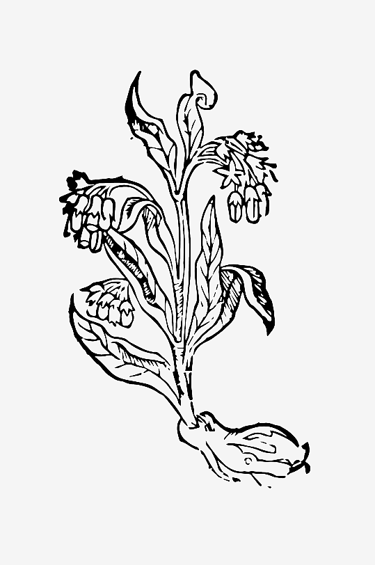 创意矢量植物元素设计-众图网