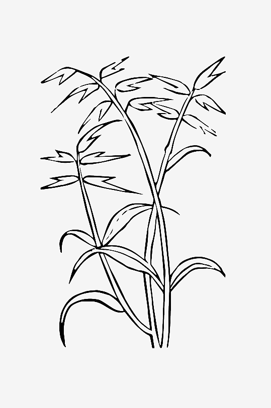 创意矢量植物元素设计-众图网