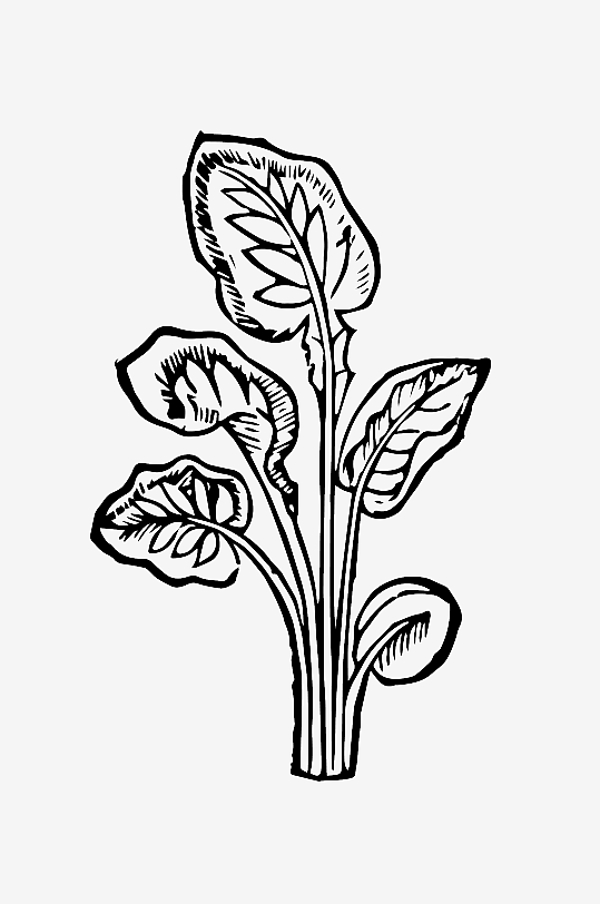 创意矢量植物元素设计-众图网