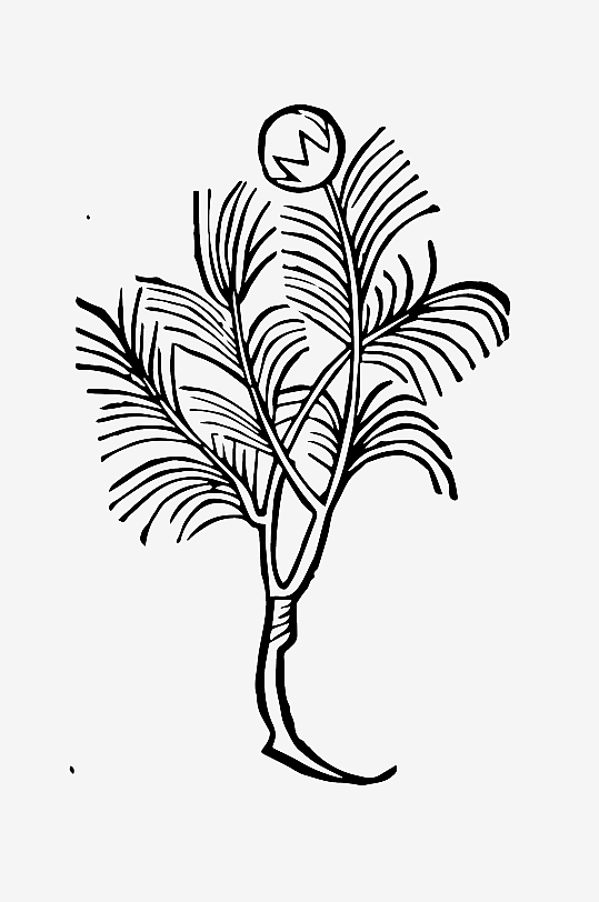 创意矢量植物元素设计-众图网