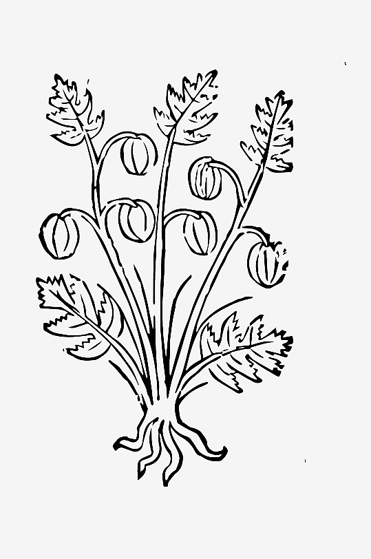 创意矢量植物元素设计-众图网