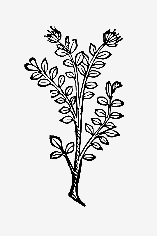 创意矢量植物元素设计-众图网