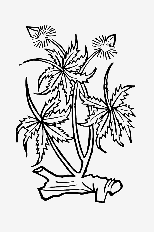 创意矢量植物元素设计-众图网