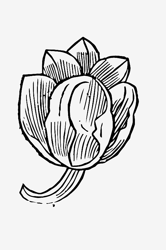 创意矢量植物元素设计-众图网