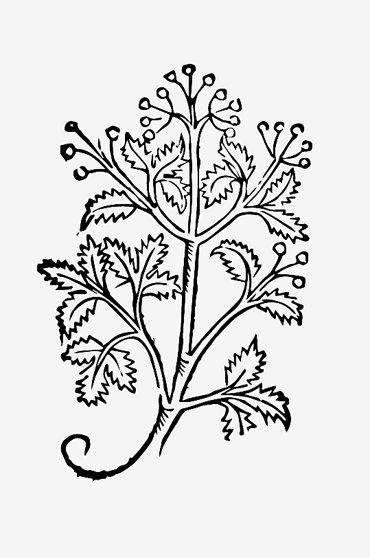 创意矢量植物元素设计-众图网