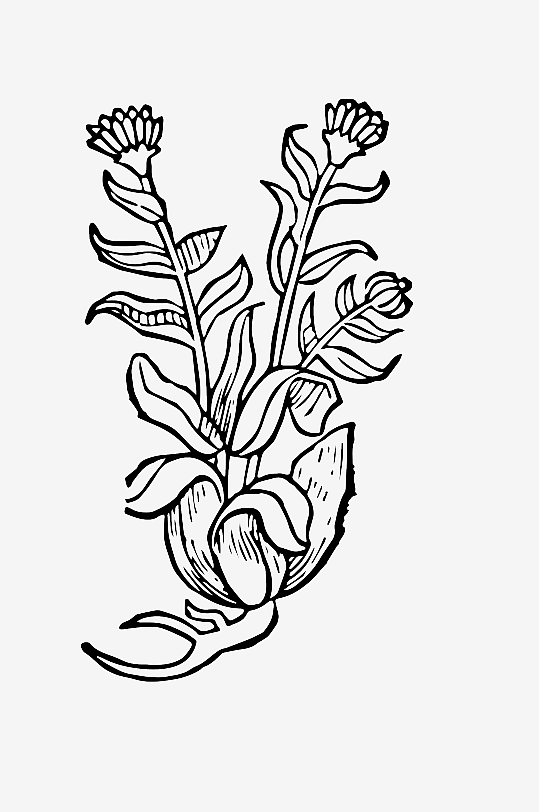 创意矢量植物元素设计-众图网