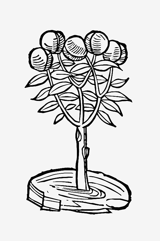 创意矢量植物元素设计-众图网