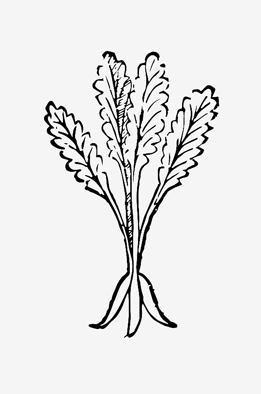 创意矢量植物元素设计-众图网