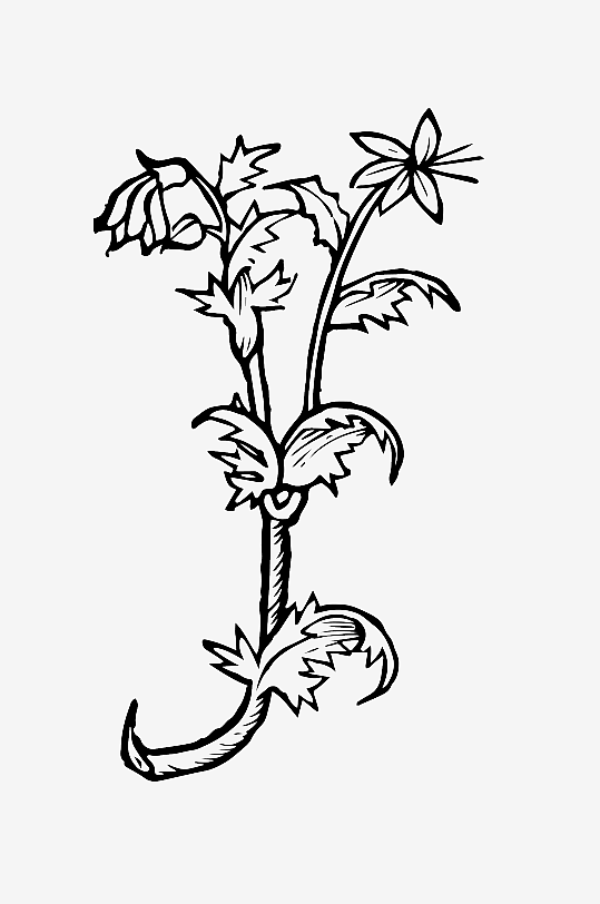 创意矢量植物元素设计-众图网