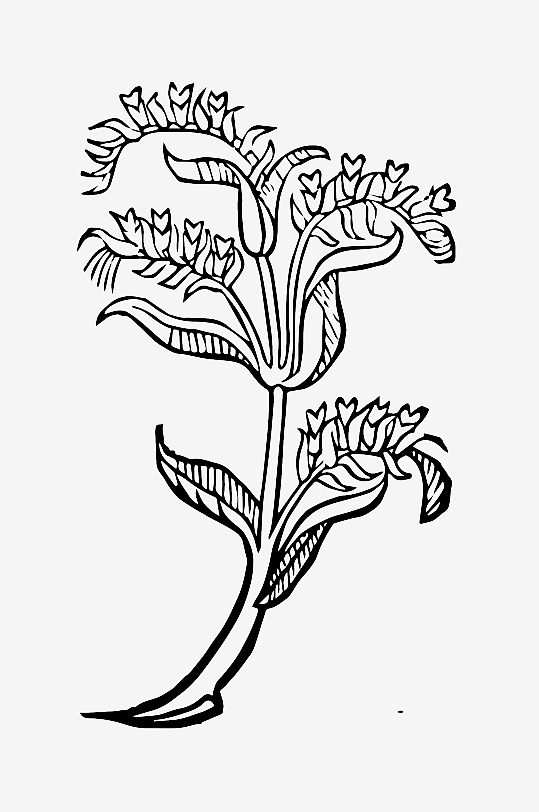 创意矢量植物元素设计-众图网