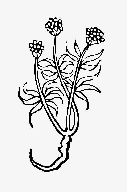 创意矢量植物元素设计-众图网