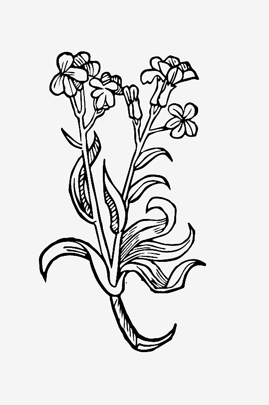 创意矢量植物元素设计-众图网