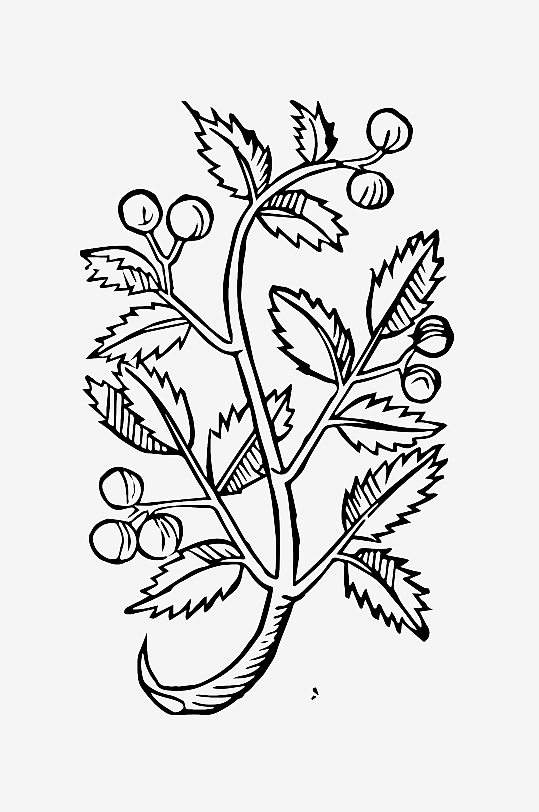 创意矢量植物元素设计-众图网