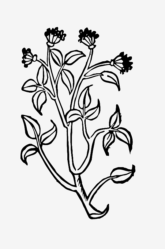 创意矢量植物元素设计-众图网