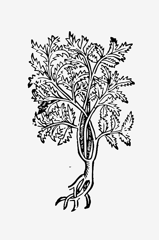 创意矢量植物元素设计-众图网