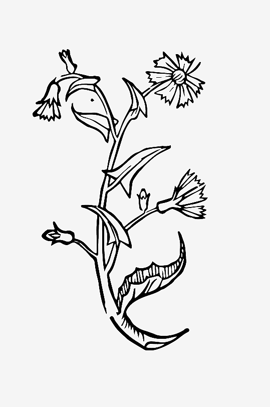 创意矢量植物元素设计-众图网