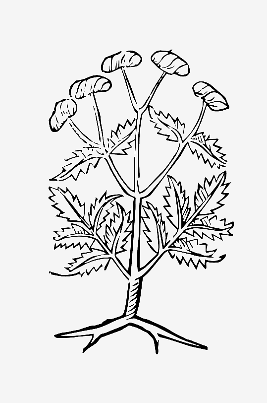 创意矢量植物元素设计-众图网