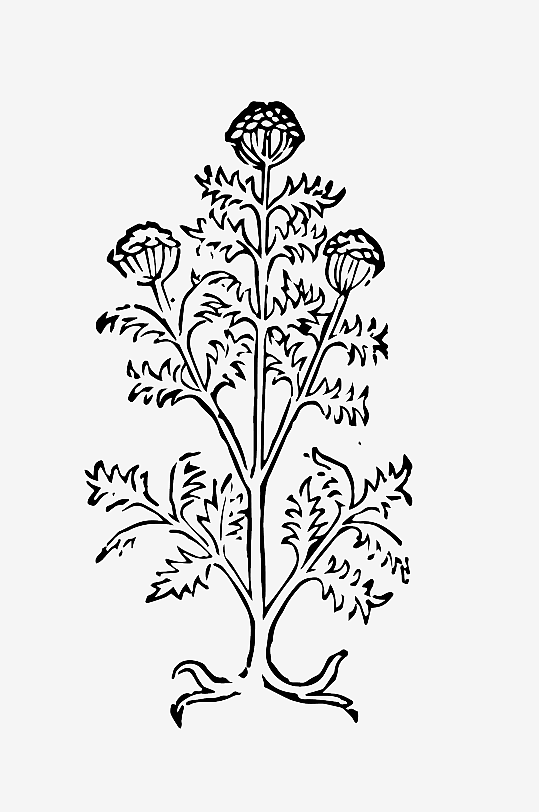 创意矢量植物元素设计-众图网