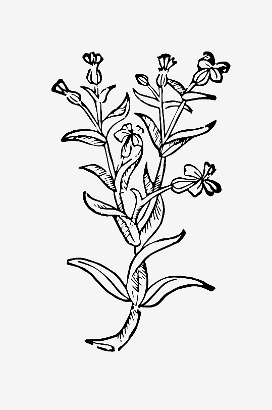 创意矢量植物元素设计-众图网