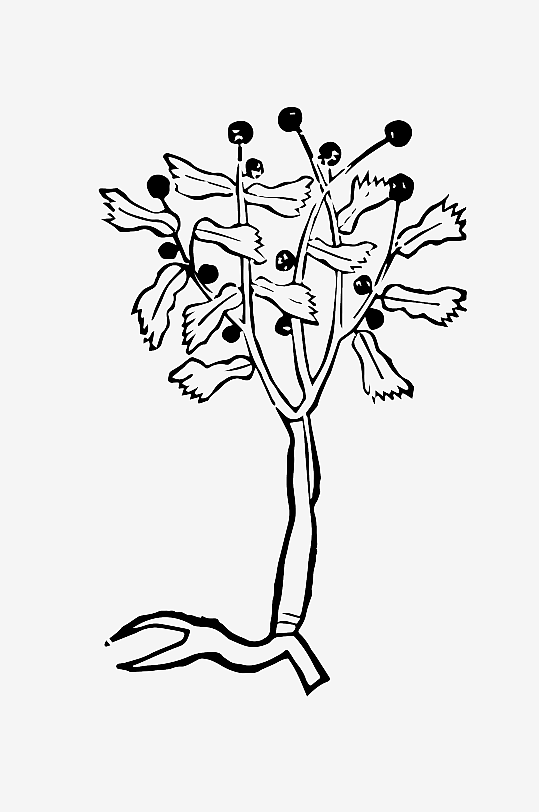 创意矢量植物元素设计-众图网