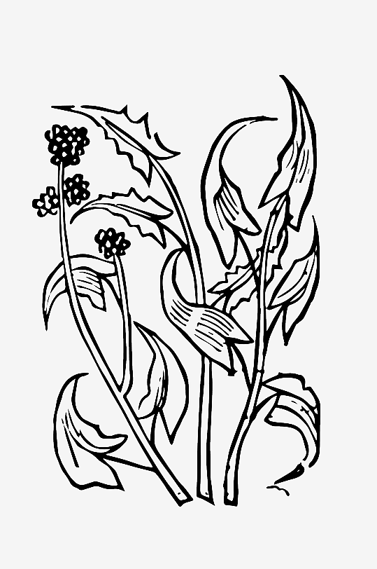 创意矢量植物元素设计-众图网