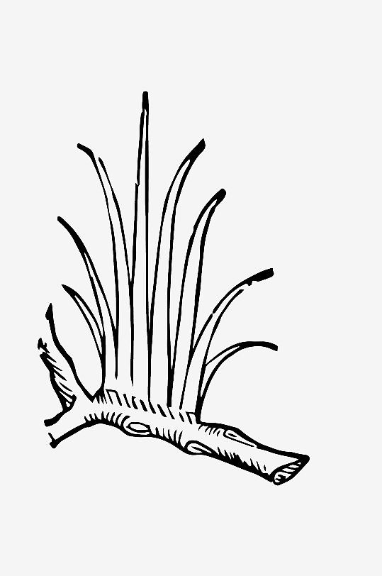 创意矢量植物元素设计-众图网