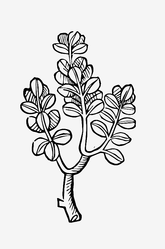 创意矢量植物元素设计-众图网