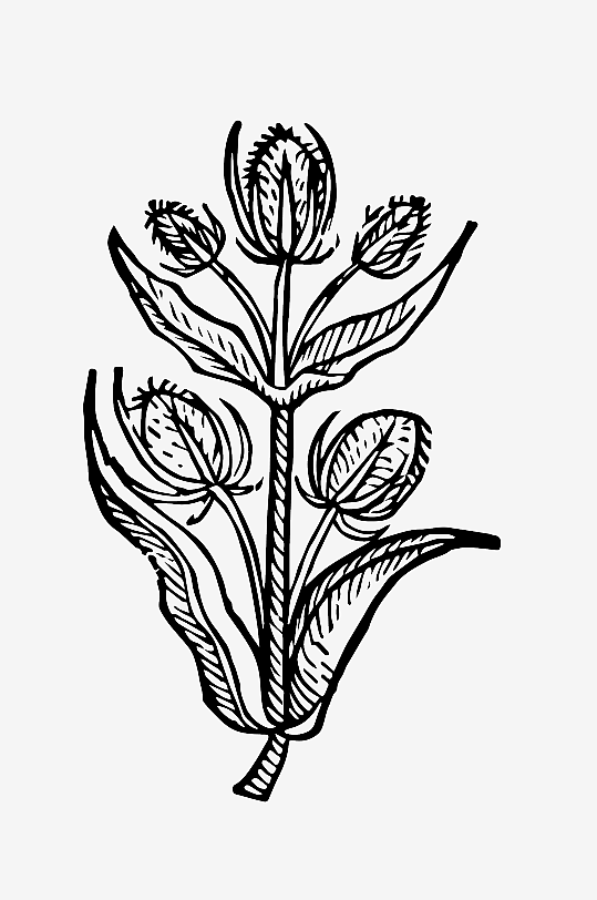 创意矢量植物元素设计-众图网